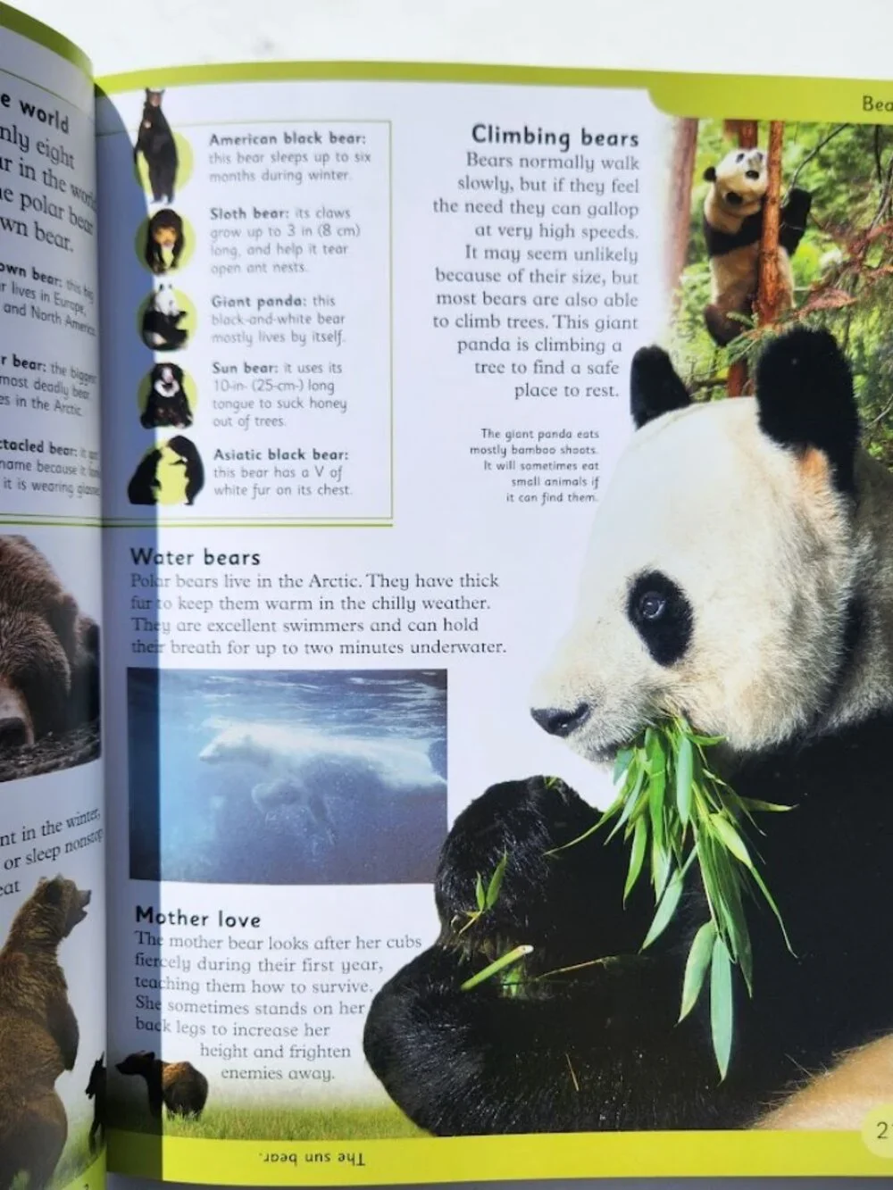 NEW DK First Animal Encyclopedia Hardcover Book Reference Guide Bookshark Scienc
